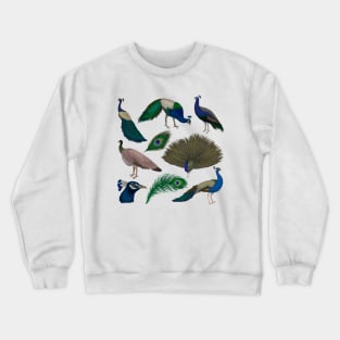 Peacock Collection Crewneck Sweatshirt